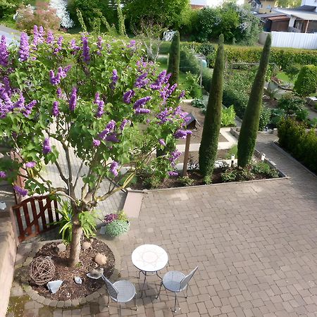 Ferienwohnung Schillinger Засбах Экстерьер фото