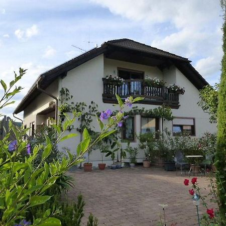 Ferienwohnung Schillinger Засбах Экстерьер фото